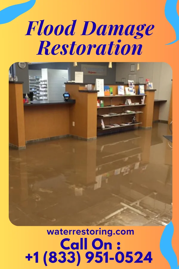 Flood Damage Restoration in Russellville, IL