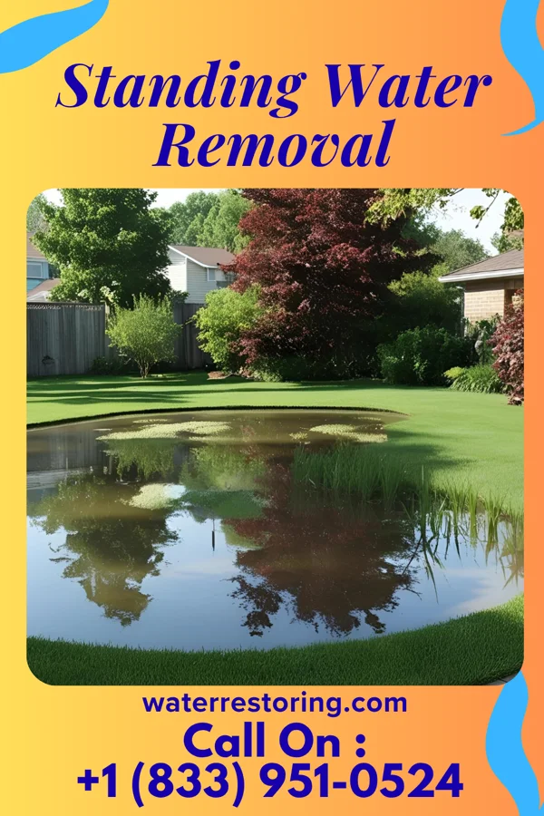Standing Water Removal in Russellville, IL